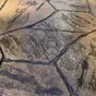 Stamped decorative concrete, Southern Ontario